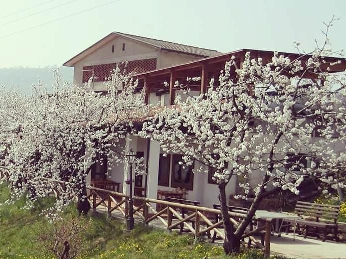 Agriturismo Al Ciliegio Vila Marostica Exterior foto